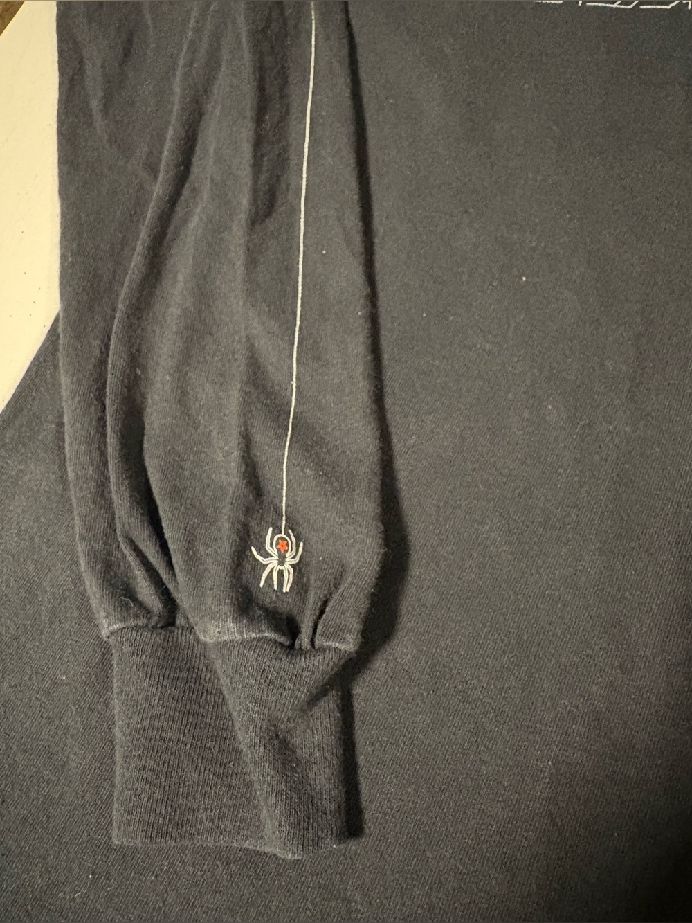 Thrasher Spiderweb Longsleeve - Picture 2 of 5